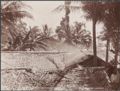 Roofs of Port Adam houses, Malaita, Solomon Islands, 1906 / J.W. Beattie