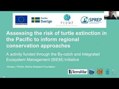 Assessing the Risk of Turtle Extinction in the Pacific to Inform Regional Conservation Approaches