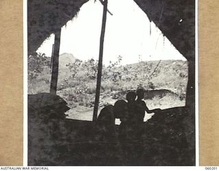 12 MILE, LALOKI RIVER, NEW GUINEA. 1943-11-15. VIEW FROM INSIDE THE PACKING AND DESPATCH ROOM OF THE 3RD AUSTRALIAN FARM COMPANY, AUSTRALIAN ARMY SERVICE CORPS