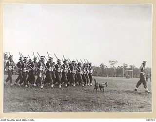 WONDECLA, ATHERTON TABLELAND, QLD. 1945-01-19. 2/3 PIONEER BATTALION TROOPS GIVE AN "EYES RIGHT" IN THE MARCH PAST AS THEY PARTICIPATE IN THE PLATOON DRILL CONTEST DURING THE 9 DIVISION GYMKHANA ..