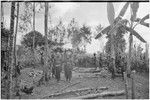 Pig festival, uprooting cordyline ritual: clearing where ritually significant cordyline will be uprooted, signalling next phase of pig festival