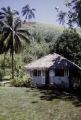 French Polynesia, thatched-roofed cottage on Tahiti Island