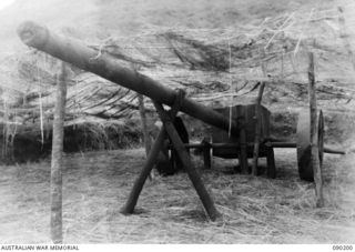 GOODENOUGH ISLAND, NEW GUINEA. 1942-10. IMITATION DEFENCE GUNS, MADE OF WOOD AND CUNNINGLY CAMOUFLAGED, WERE PART OF THE BLUFF AND DECEPTION PRACTICED BY A SMALL FORCE OF AUSTRALIANS WHO SEIZED THE ..