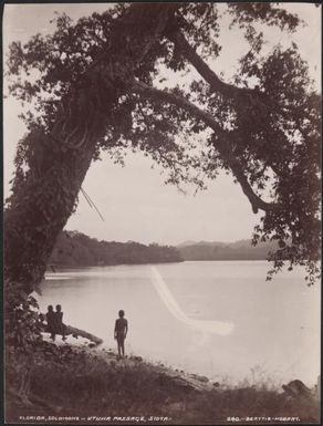 Three children on the banks of Utuha Passage at Siota, Florida, Solomon Islands, 1906 / J.W. Beattie