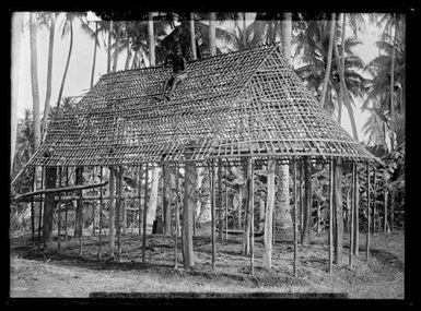 Traditional Melanesian House