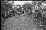 Tsembaga boys play with small spears