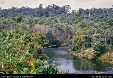 New Guinea - Nomad River