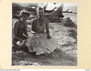 CAPE WOM, WEWAK AREA, NEW GUINEA. 1945-08-02. SUPERINTENDENT J.M. HART, RED CROSS SOCIETY REPRESENTATIVE (1), WITH SISTER K.J. MURCH (2), STAFF OF 104 CASUALTY CLEARING STATION, HOLDING A GIANT ..