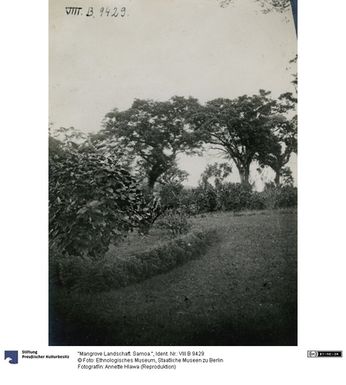 ["\"Mangrove Landschaft. Samoa.\""]