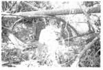 AIT 23, 11