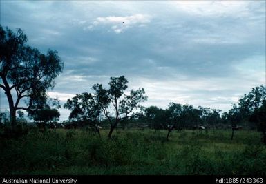 Distant view of Big Camp