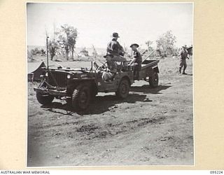 CAPE WOM, WEWAK AREA, NEW GUINEA, 1945-08-14. MEMBERS OF A DETACHMENT OF B SECTION 6TH DIVISION SIGNALS LAYING FIELD TELEPHONE CABLE