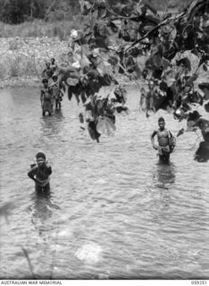 TAMIGUDU, NEW GUINEA, 1943-10-21. AUSTRALIAN AND NEW GUINEA ADMINISTRATIVE UNIT NATIVE CARRIERS CROSSING A RIVER BETWEEN BUIENGIM AND TAMIGUDU