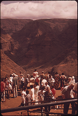 TOURISTS VIEW WAIMEA CANYON