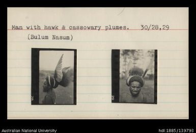 Man with hawk and cassowary plumes