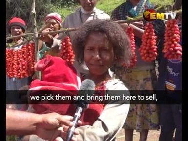 Daulo Strawberry Farmers