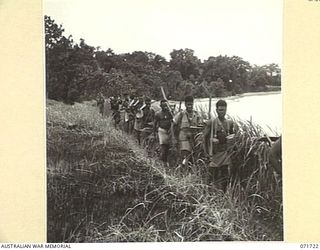 SINGORKAI - WEBER POINT AREA, NEW GUINEA, 1944-03-21. MEMBERS OF "C" COMPANY, PAPUASN INFANTRY BATTALION MOVING ALONG A "PAD" THROUGH KUNAI GRASS