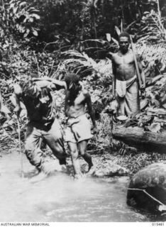 1943-08-10. NEW GUINEA. MOUNT TAMBU FIGHTING. A FUZZY WUZZY ASSISTS PTE. JERRY CRONIN, OF KATANNING, W.A. TO CROSS A CREEK AFTER CRONIN HAD BEEN WOUNDED IN A CLASH AGAINST THE JAPANESE