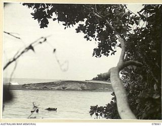 DANMAP RIVER AREA, NEW GUINEA. 1945-01-02. THE FLOODED WAKIP RIVER, ONE OF THE MANY OBSTACLES WHICH HAD TO BE OVERCOME BY THE TROOPS OF THE 2/11TH INFANTRY BATTALION DURING THE ATTACK ON JAPANESE ..