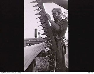 RAMU VALLEY, NEW GUINEA. 1943-10-06. VX23087 SAPPER GRAHAM OF THE 2/6TH AUSTRALIAN FIELD COMPANY, ROYAL AUSTRALIAN ENGINEERS, PREPARING A MEADOW MOWER FOR USE IN CUTTING THE KUNAI GRASS FOR A NEW ..