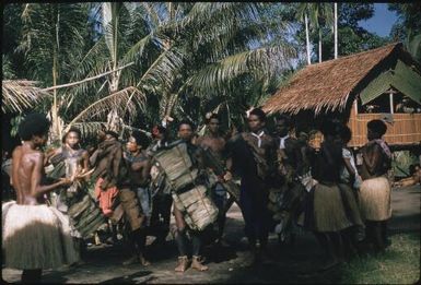 Carrying the harvest : Fergusson Island, D'Entrecasteaux Islands, Papua New Guinea, 1956-1958 / Terence and Margaret Spencer