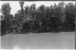 Madang-Aiome flight: flying low over Ramu River