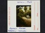 Coast Road, Rabaul-Kokopo, Apr 1965