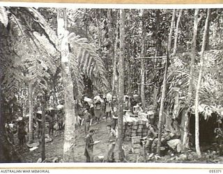 GOODVIEW, NEW GUINEA, 1943-08-05. AUSTRALIAN ARMY SERVICE CORPS BULK STORE ATTACHED TO 17TH INFANTRY BRIGADE. SUPPLIES ARE BROUGHT BY NATIVE CARRIERS FROM THE DROPPING ZONE TO THE STORE FOR ..