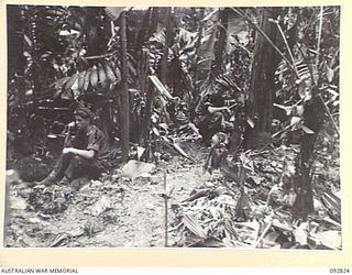 SORAKEN AREA, BOUGAINVILLE, 1945-06-07. MEMBERS OF B COMPANY, 31/51 INFANTRY BATTALION TACTICAL HQ, DUG IN APPROXIMATELY 200 YARDS FROM JAPANESE POSITIONS. IDENTIFIED PERSONNEL ARE:- PTE W. ..