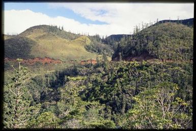 Tree-covered slopes