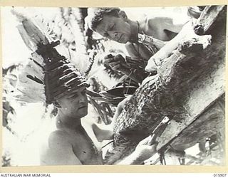 1943-10-02. NEW GUINEA. MARKHAM VALLEY. OLD MUNUM. S. MCKENZIE OF KILLARA AND PTE. R. ANDERSON OF BONDI JUNCTION, N.S.W. PLACES AN ANCIENT CROCODILE GOD TOTEM ON THEIR TENT. MCKENZIE, AN OFFICER, ..
