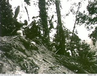 THE SOLOMON ISLANDS, 1945-03-27. NATIVE CARRIERS MOVING ALONG THE NUMA NUMA TRAIL. THE NUMA NUMA TRAIL CROSSED BOUGAINVILLE ISLAND FROM TOROKINA ON THE SOUTH COAST TO NUMA NUMA ON THE NORTH COAST. ..