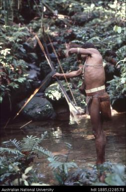 Shooting fish in shallow pools multi-pronged arrows