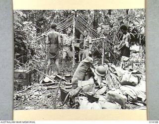 1943-01-22. PAPUA. DEPARTMENT OF INFORMATION CAMERAMEN, OFFICIAL PHOTOGRAPHERS BILL CARTY AND CLIFF BOTTOMLEY, IN THE SANANANDA AREA ERECTING THE FRAMEWORK FOR A TENT WITH THE AID OF NATIVE PAPUAN ..