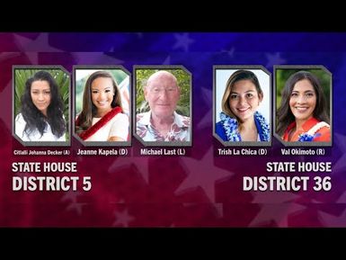 Election 2020 | State House District 5 | State House District 36 | INSIGHTS ON PBS HAWAIʻI