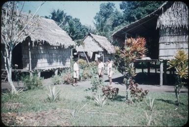 Village houses (2) : Bwalalea village, D'Entrecasteaux Islands, Papua New Guinea, 1956-1958 / Terence and Margaret Spencer