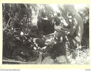 BOUGAINVILLE ISLAND. 1945-02-17. PERSONNEL OF B COMPANY, 9TH INFANTRY BATTALION ENJOYING A GAME OF CARDS ON THEIR RETURN TO CAMP AFTER A PATROL THROUGH ENEMY TERRITORY. IDENTIFIED PERSONNEL ARE:- ..