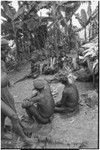 Pig festival, pig sacrifice, Tsembaga: ritual exchange, observed by women and children