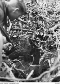 WEWAK AREA, NEW GUINEA, 1945-06-27. PTE W.R. BASSULA, 2/8 INFANTRY BATTALION, EXAMINING A FOX HOLE AS THE UNIT ADVANCES UP THE SIDE OF THE FEATURE DURING THE FINAL ASSAULT ON HEAVILY DEFENDED ..