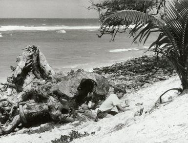 Pacific Islands - Cook Islands - Rarotonga - Scenics