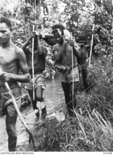 1943-01-27. PAPUA. SANANANDA AREA. MUCH HAS BEEN SAID OF THE INVALUABLE HELP WHICH THE NEW GUINEA NATIVES GIVE THE ALLIED TROOPS. THIS PICTURE SHOWS NATIVES CARRYING OUT ALLIED WOUNDED AND THE ..