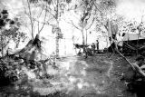 Camp scene on Guadalcanal, 1940s