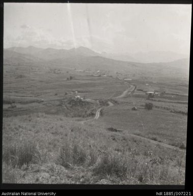 Cane fields