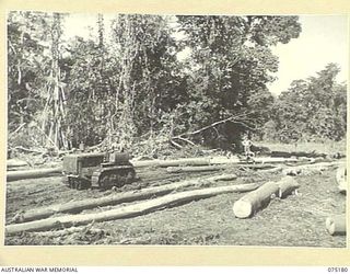 LAE, NEW GUINEA. 1944-08-11. PERSONNEL OF THE 2/3RD FORESTRY COMPANY USING A TRACTOR TO HAUL LOGS OUT OF THE JUNGLE TO THE UNIT SAWMILL