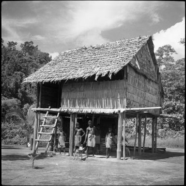 Bougainville Island