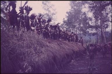 Initiation of the boys (8) : singsing ground of the Kukiga Clan, Wahgi Valley, Papua New Guinea, 1955 / Terence and Margaret Spencer