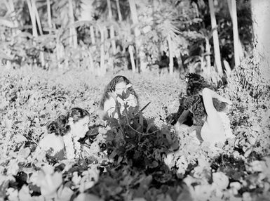 [Group of four Polynesian women]