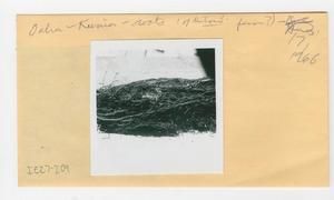 [Roots in Hawaii, envelope IE27-209]