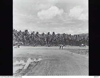 MILNE BAY, PAPUA. NO 1 AIRSTRIP SHOWING A PERFORATED STEEL PLATE TAXIWAY IN THE FOREGROUND AND CURTISS P-40 KITTYHAWK FIGHTERS OF THE RAAF IN THE BACKGROUND. ON THE LEFT IS ARRIVING AN RAAF DE ..