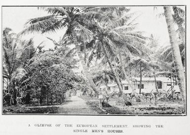 A glimpse of the European settlement, showing the single men's houses